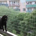 Home 1719908739 3b28e5bb6678ecdfb5c3